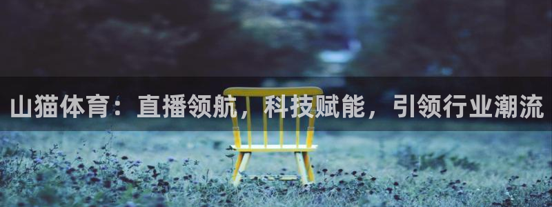 龙门视频：山猫体育：直播领航，科技赋能，引领行业潮流