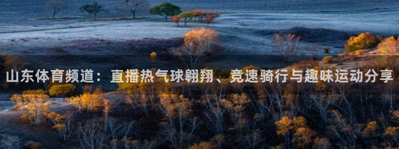 龙门nba直播：山东体育频道：直播热气球翱翔、竞速骑行与趣味运动分享
