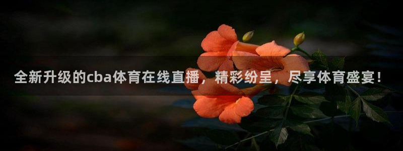 看球直播龙门直播：全新升级的cba体育在线直播，精彩纷呈，尽享体育盛宴！