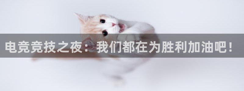 龙门体育视频直播：电竞竞技之夜：我们都在为胜利加油吧！