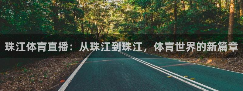 龙门飞甲播放：珠江体育直播：从珠江到珠江，体育世界的新篇章